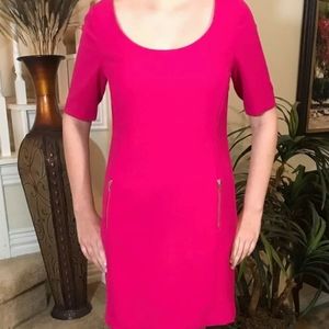 Ann taylor Dark pink dress